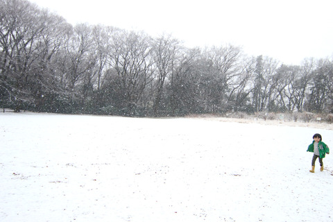 東京の雪
