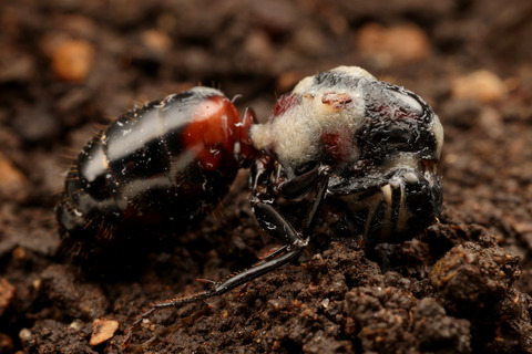 ��ͥ�����������˴�����������