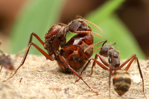 ��������ΰ��