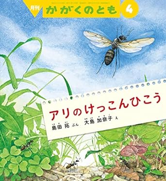 51iYDSWN7cL._SX342_SY445_