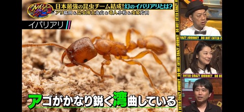 ���쥤�������㡼�ˡ� ������õ��ι (5)