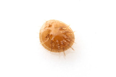 �ݱफ��ФƤ���٨ʿ�ʥ���