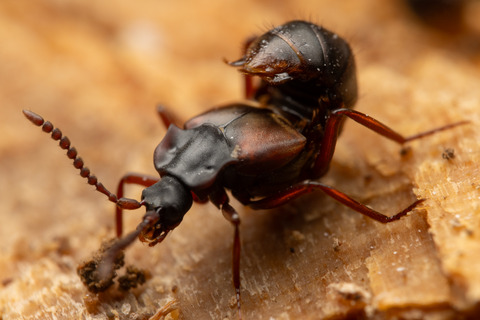 ���說��������������餹�ϥ�������Υ��ϥͥ�����