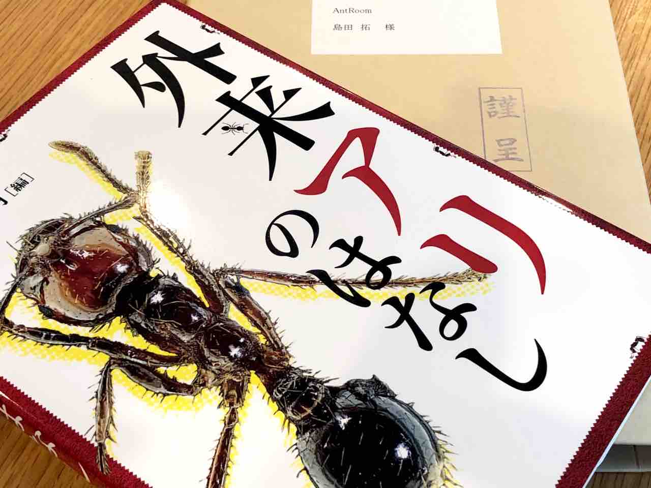 ありんこ日記 Antroom 新商品 ありんこ日記 Antroom 新商品