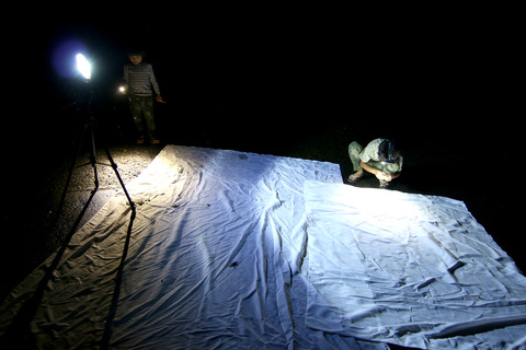 今峰製HIDライト