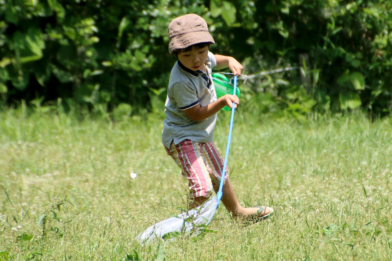 春は虫探しの楽しい季節 ありんこ日記 Antroom