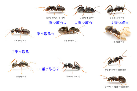 ��������ʤɤΰ��Ū�Ҳ����