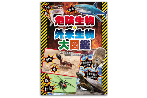 ありんこ日記 Antroom イベント情報