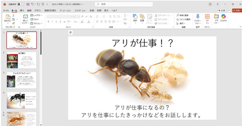 小学校でアリの話
