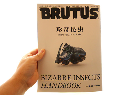 BRUTUS「珍奇昆虫」