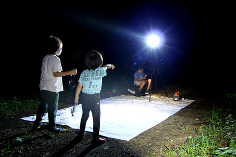 ライトトラップ