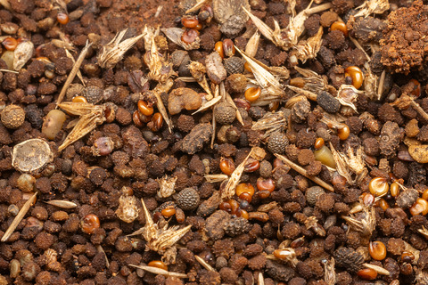 �������Ǹ��Ĥ�������