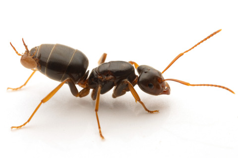 �������˾�ä�����Ω�ĥ������