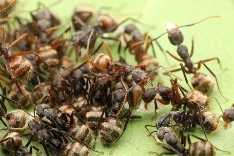 ���ƤΥ�������