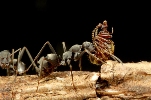 �ϥ�������Υ��ϥͥ�����