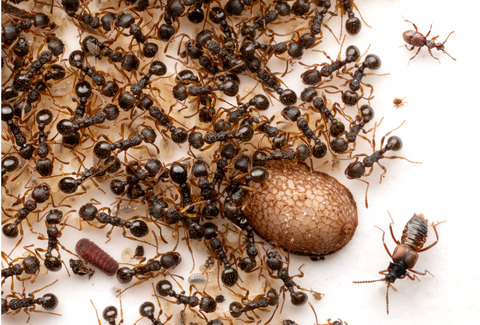 ��������ʪ��˭�٤ʥ��說��������