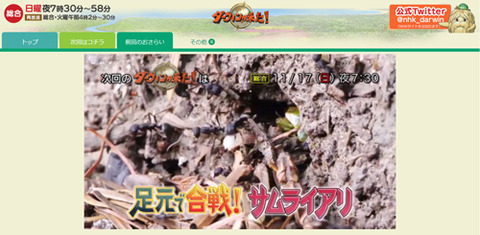 サムライアリ