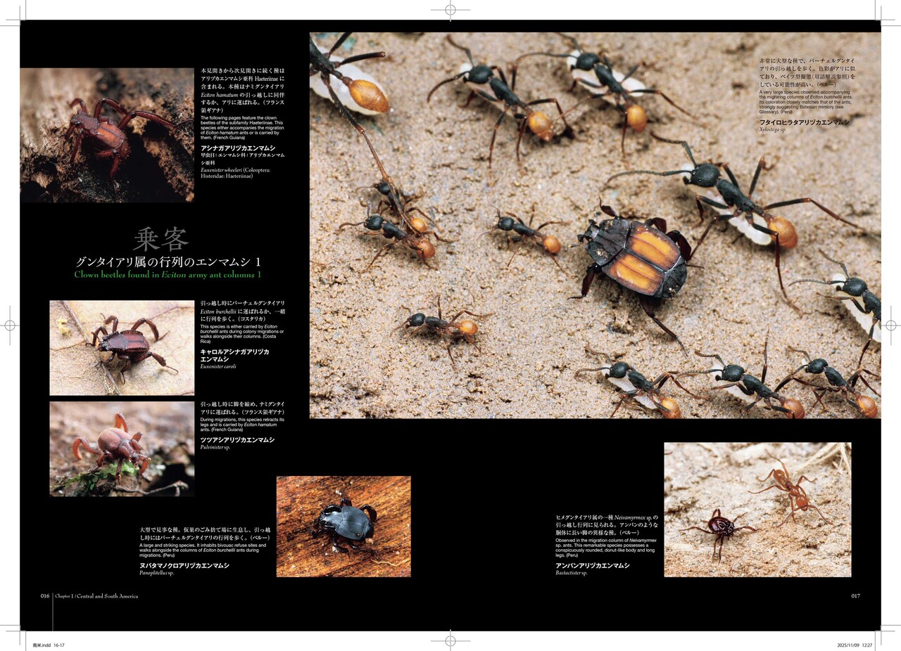 蟻客」発売とイベント開催のお知らせ : ありんこ日記 AntRoom