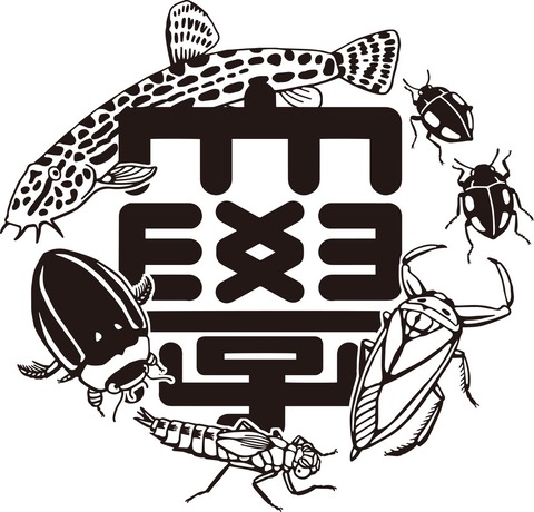昆虫大学2024