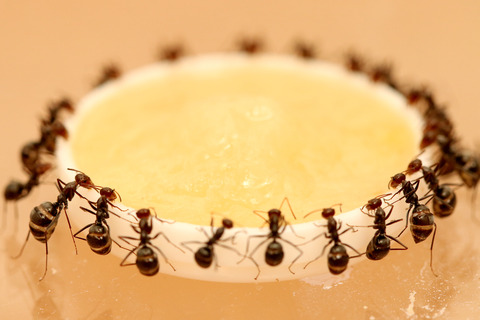 �ߥĥĥܥ���