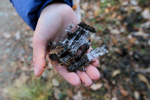 今年最後の山登り