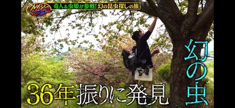 ���쥤�������㡼�ˡ�