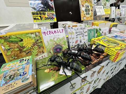 楽しかった昆虫大学2024
