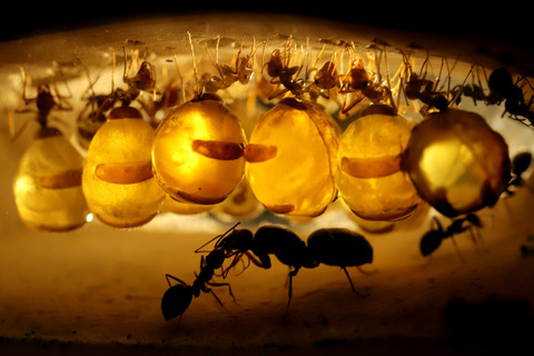 �ߥĥĥܥ���