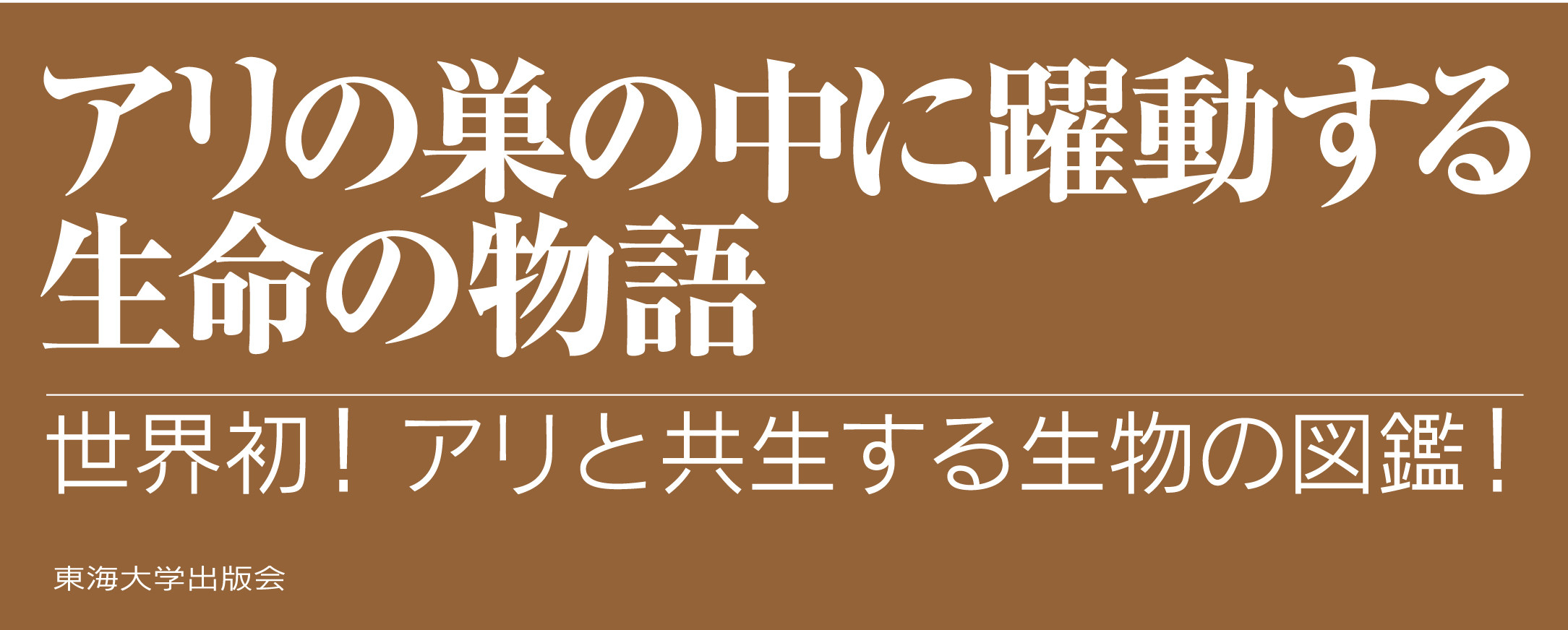 アリの巣の生きもの図鑑』 : ありんこ日記 AntRoom