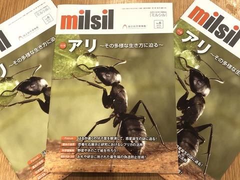 2019年11月1日「milsil」
