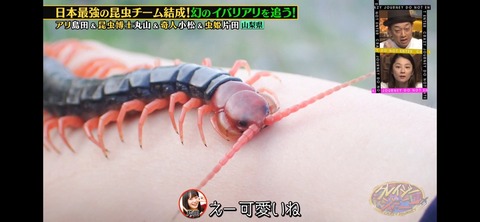 ���쥤�������㡼�ˡ� ������õ��ι