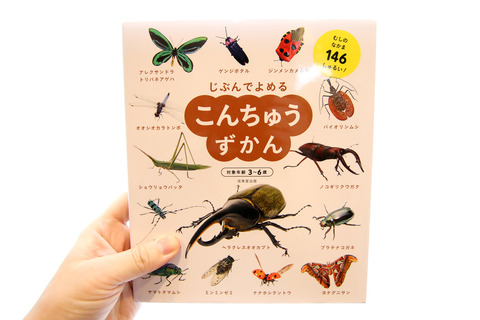 ありんこ日記 Antroom 新商品