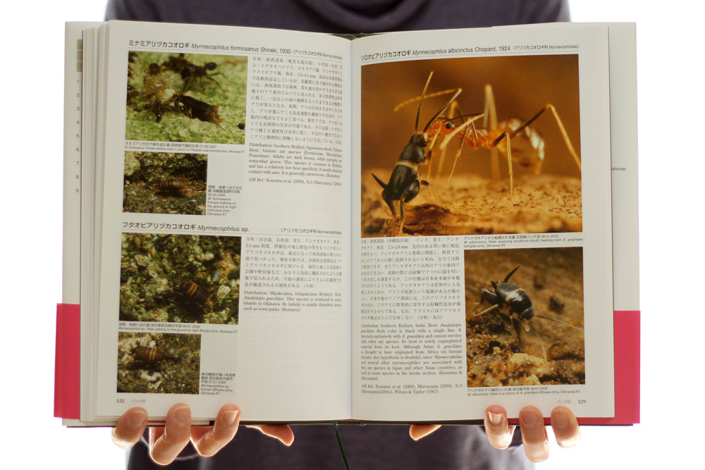 アリの巣の生きもの図鑑」完成！ : ありんこ日記 AntRoom