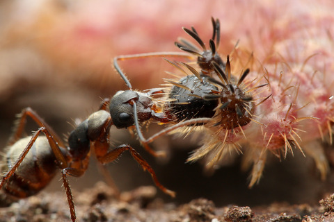 �µ� ����ȶ������������