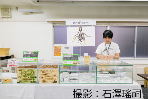 楽しかった昆虫大学2024