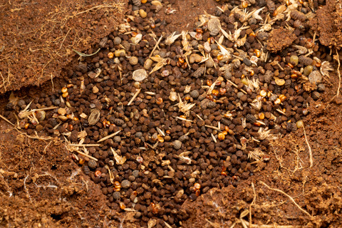 �������Ǹ��Ĥ�������