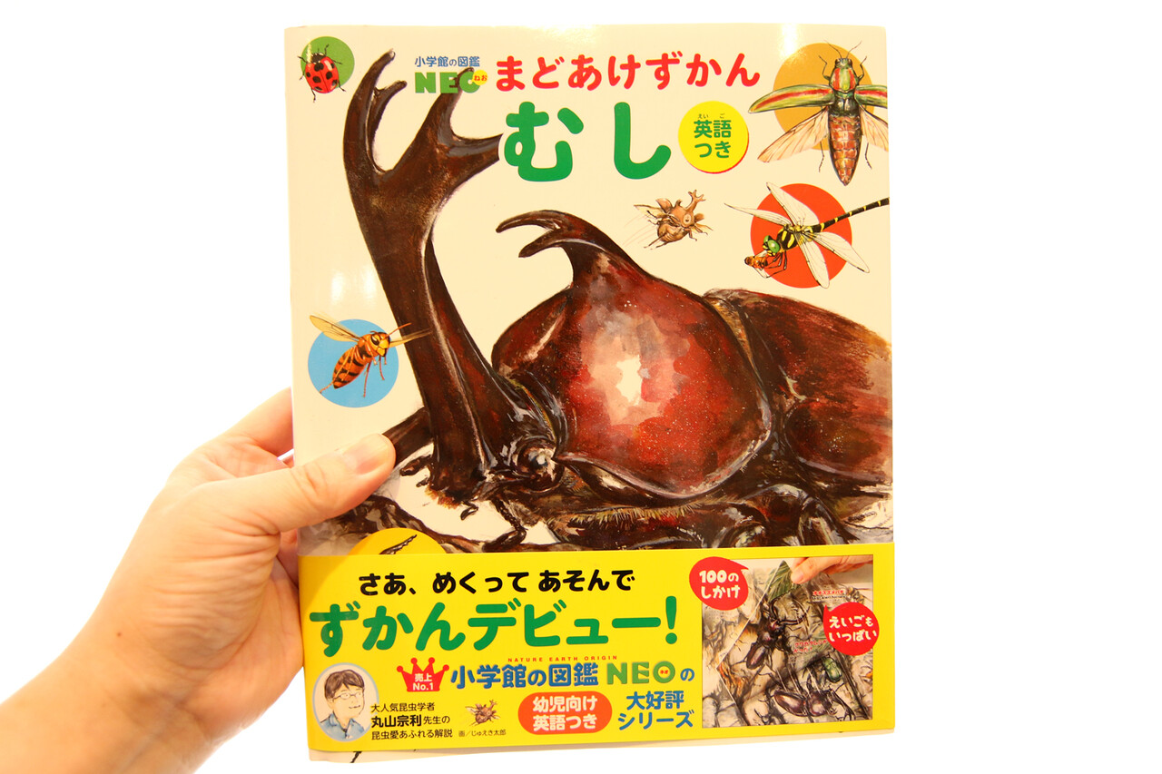 むし 小学館の図鑑neo ありんこ日記 Antroom