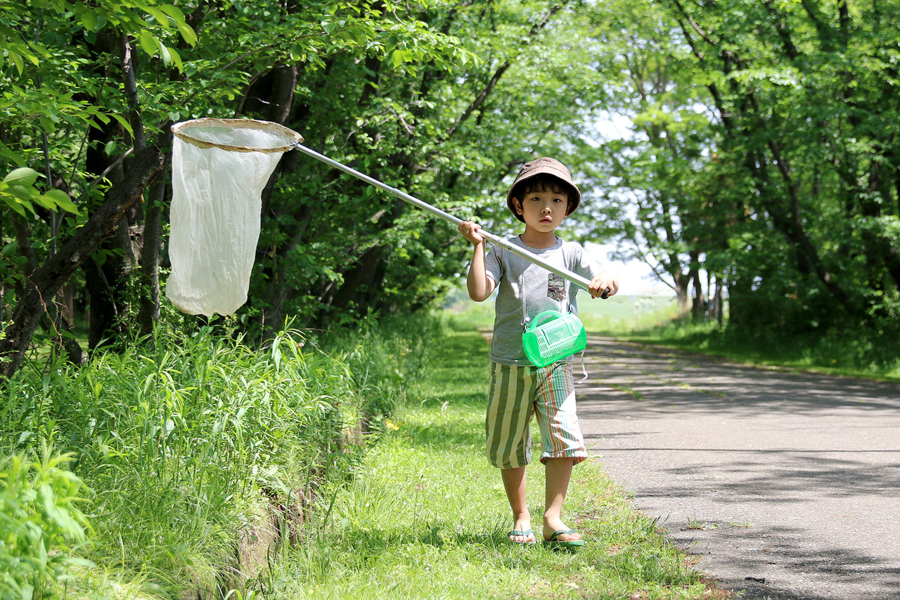 春は虫探しの楽しい季節 ありんこ日記 Antroom