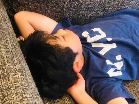 息子のことが大好きな文鳥