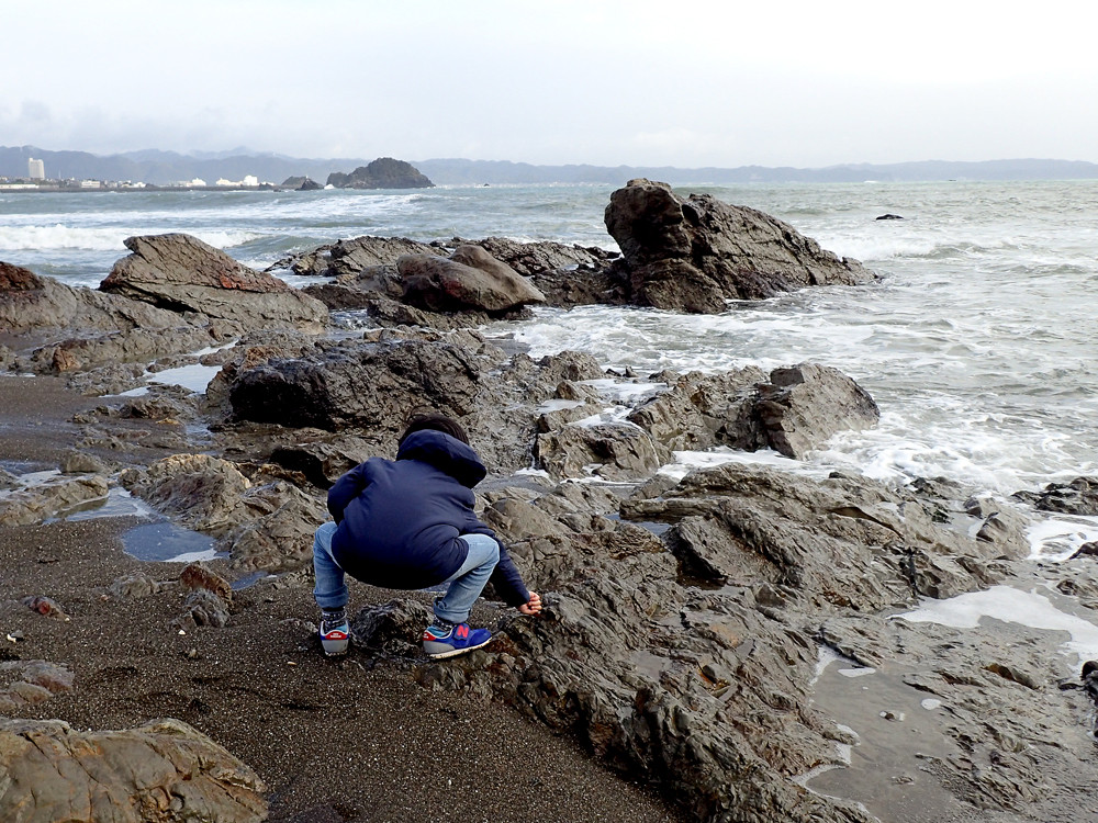 千葉の鴨川シーワールドへ ありんこ日記 Antroom