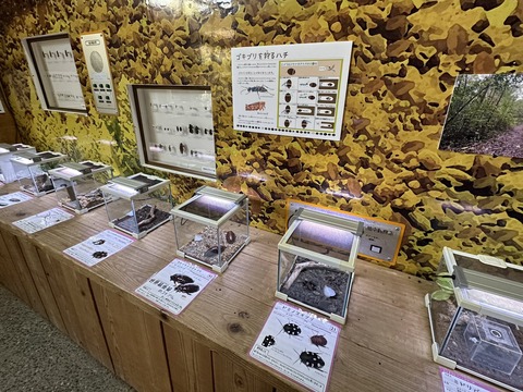 竜洋昆虫自然観察公園