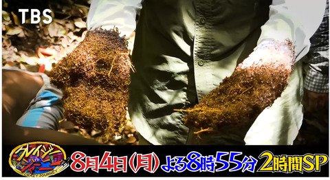 �����饤����ν�����٥�