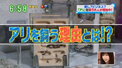す・またん!