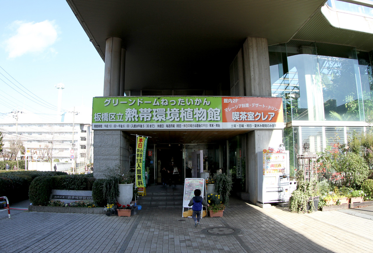 冬にオススメ 板橋区立 熱帯環境植物館 ありんこ日記 Antroom 冬にオススメ 板橋区立 熱帯環境植物館 ありんこ日記 Antroom