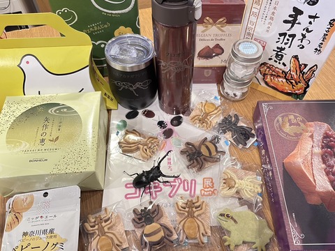 蟻道