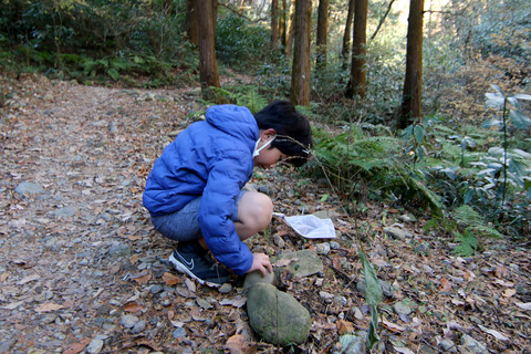 今年最後の山遊び