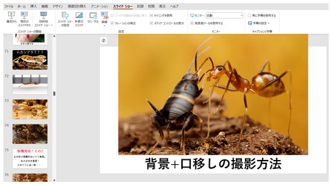 すごいぞ!アリ’’アリのせかい