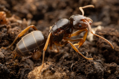 �������˾�ä�����Ω�ĥ������