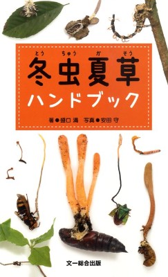 冬虫夏草アリタケ ありんこ日記 Antroom 冬虫夏草アリタケ ありんこ日記 Antroom