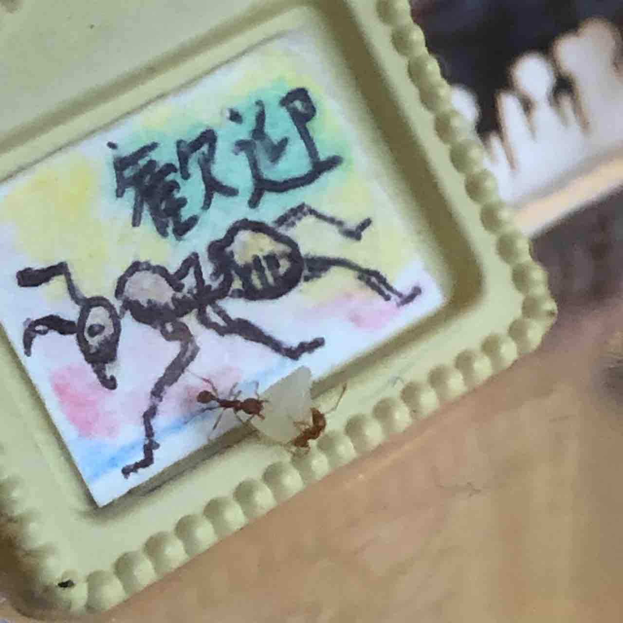 日目 姉が妹ごとチーズを運びます ありを眺めながら覚書 ありメモ 日目 姉が妹ごとチーズを運びます ありを眺めながら覚書 ありメモ